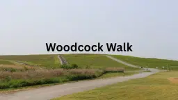Woodcock Walk