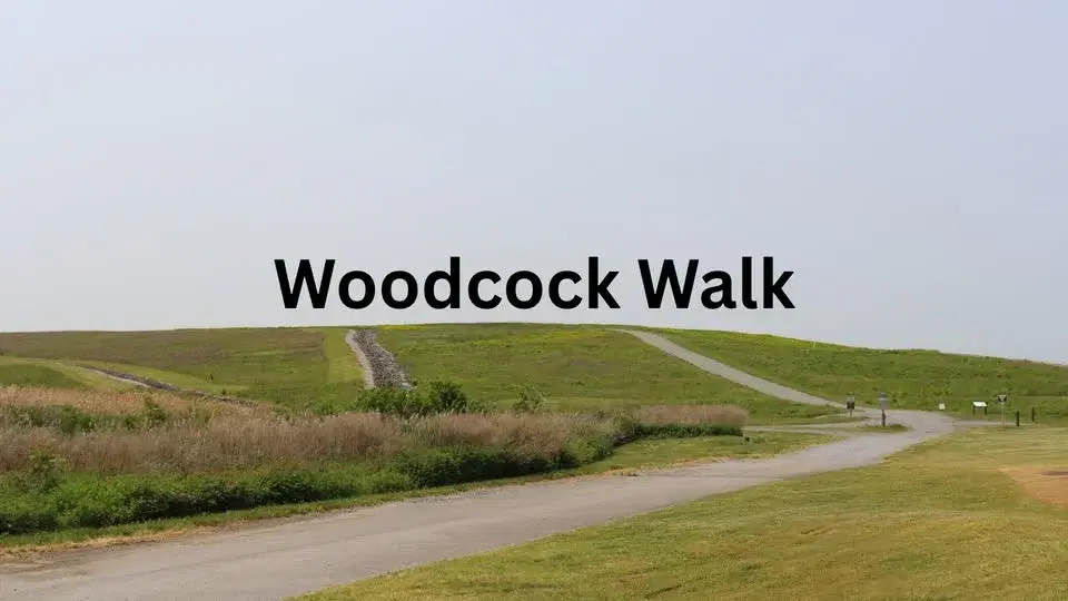 Woodcock Walk
