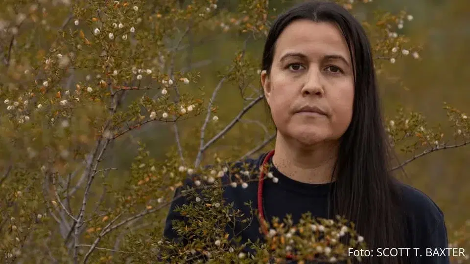 Postkolonial kärleksdikt: Natalie Diaz & Athena Farrokhzad i samtal