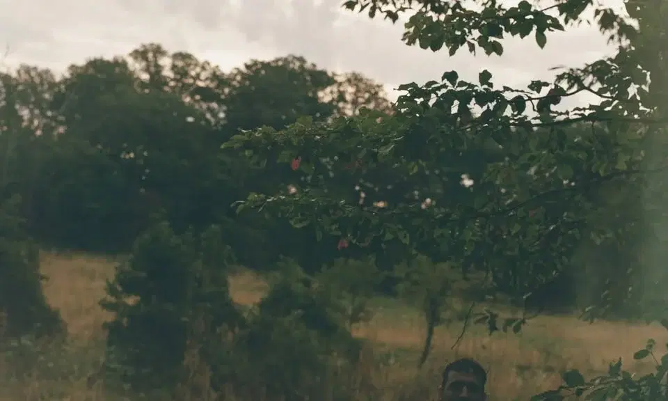 Mat Kerekes at Mahall's