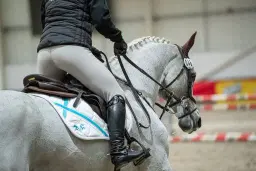 Move it March đïžââïž