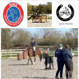 Working Equitation Training Competition March