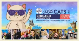 POP Cats Chicago