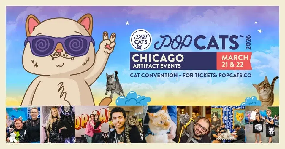 POP Cats Chicago