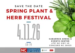 Spring Plant & Herb Festival