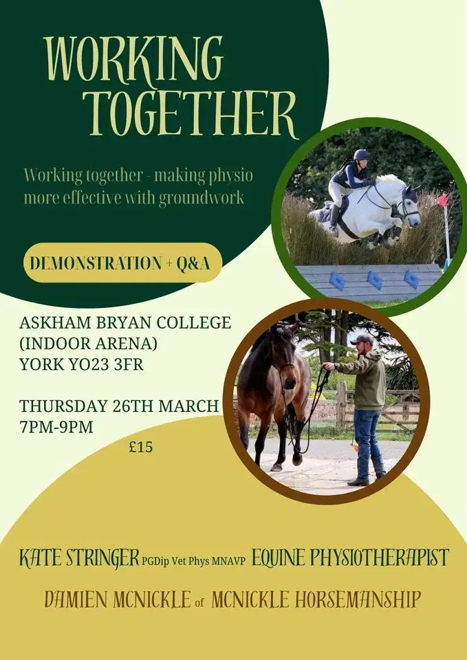 WORKING TOGETHER – Making physio more effective with groundwork