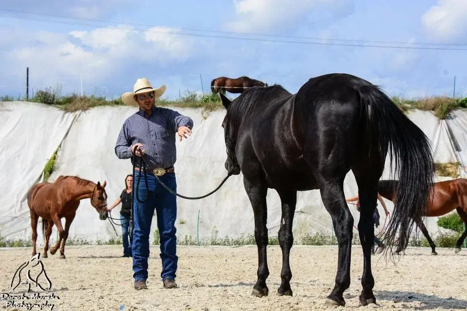 Ground Work Clinic with Guy Robertson at Moorhouse EC