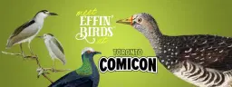 Effin’ Birds at Toronto Comicon