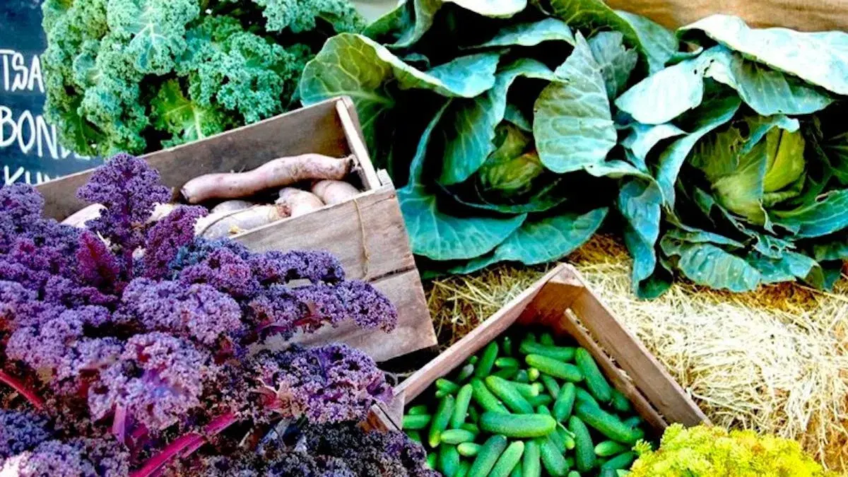 Folkekøkken 5. november