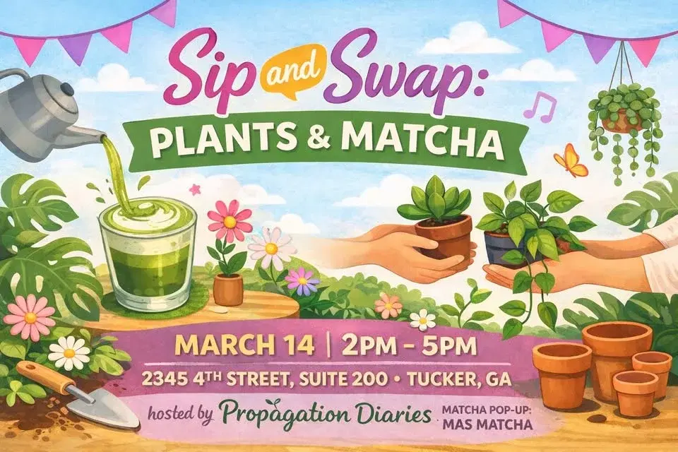 Sip and Swap: Plants and Matcha