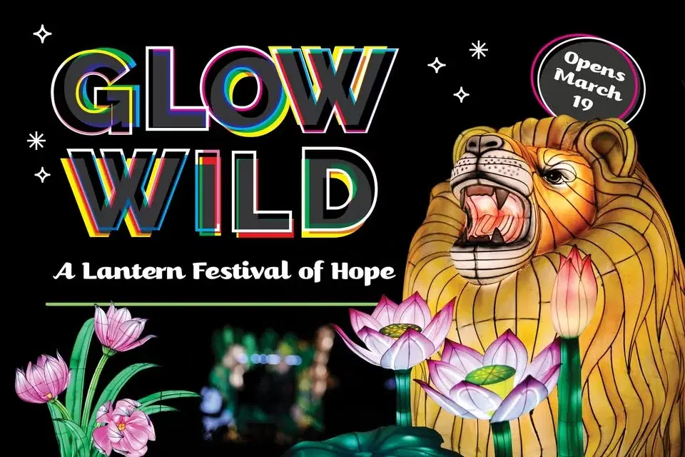 Glow Wild