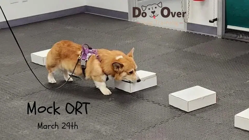 Mock Odor Recognition Test