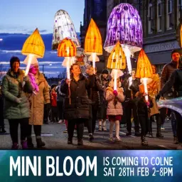 Mini Bloom