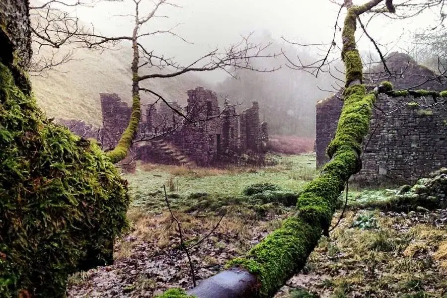 Hidden Secrets of the Upper Derwent - Ranger Guided Walk