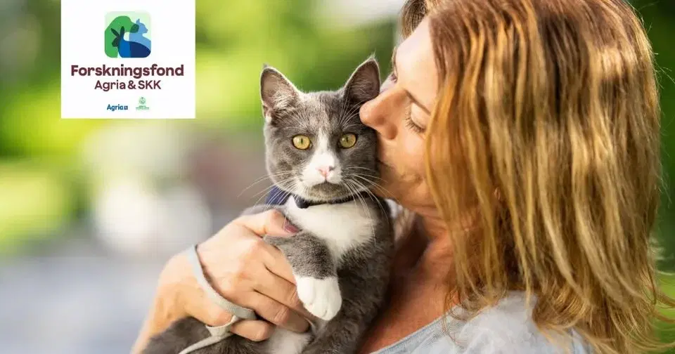 Föreläsningsdag om katters hälsa och välfärd