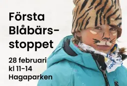 Första Blåbärsstoppet