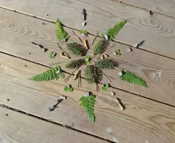 Diskussions- och planeringsträff