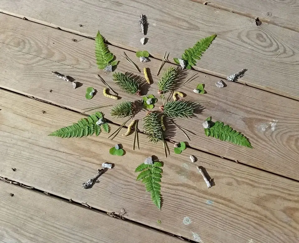 Diskussions- och planeringsträff