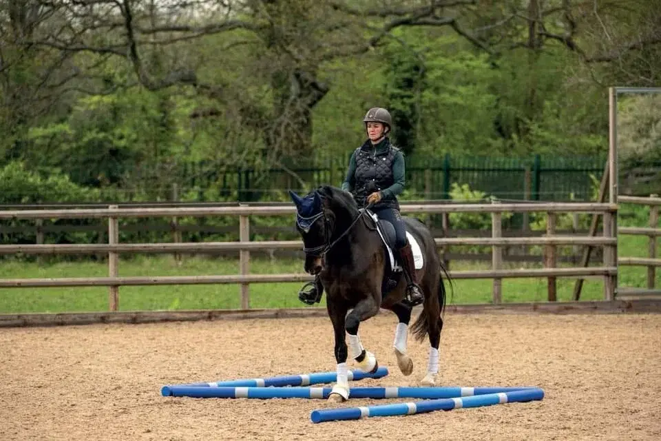 Winter Polework Series with BHS Accredited Professional Coach- Christie Mott