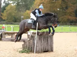 Unaffiliated Arena Eventing: Sunshine tour qualifier
