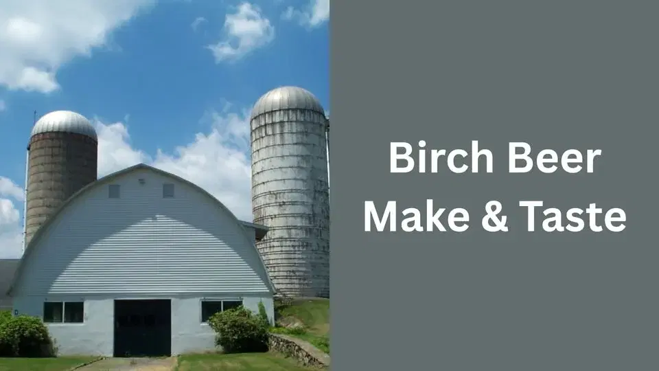 Birch Beer Make & Taste