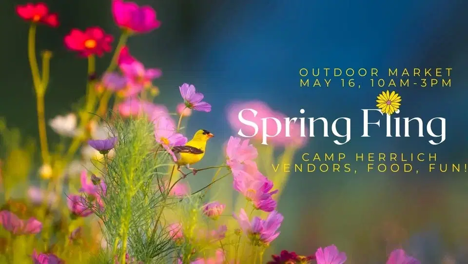 Spring Fling Outdoor Market and Family Fun Event! FREE!