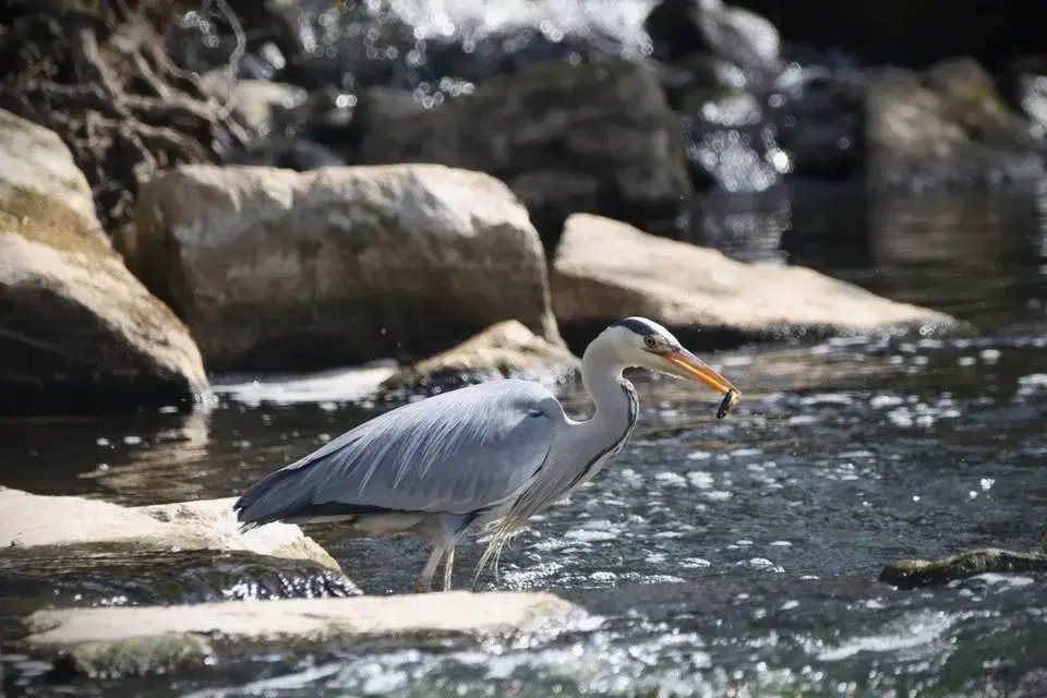 Indoor Talk: Aire Miles