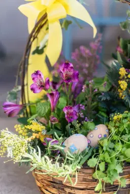 Garden to Vase: Spring Basket