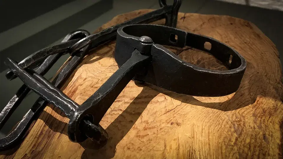 Brott och straff i Södra stadshuset