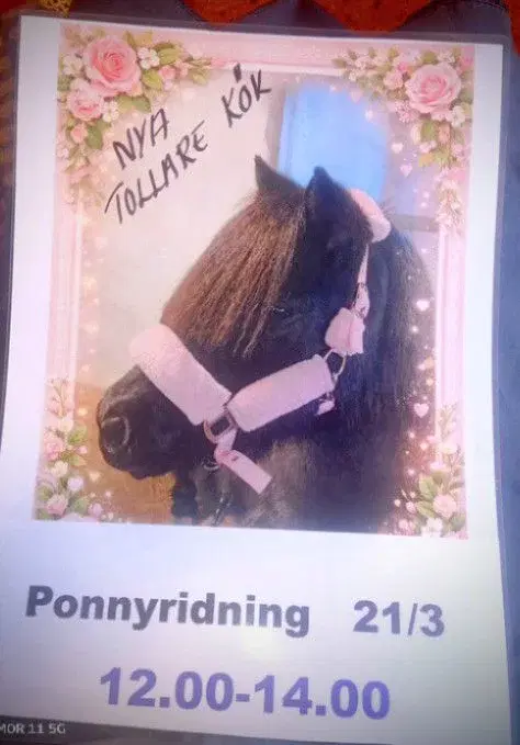 ponny ridning