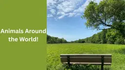 Animals Around the World!