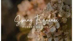 Spring Equinox Forest Bathing