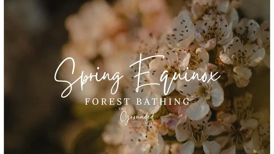 Spring Equinox Forest Bathing