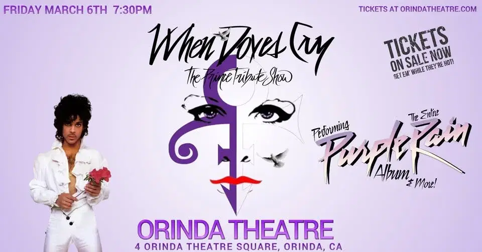 When Doves Cry - The Prince Tribute Show LIVE in Orinda, CA