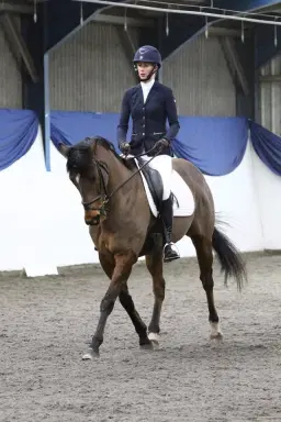 Selston E.Câs Winter Series - End of Season Dressage