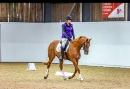 Dressage Winter Series DOUBLE POINTS