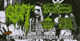 NTEY presents: GUT & FLESHLESS & CSR & INCARNATE