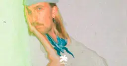 Dolphin Love | Hamburg