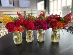 Earthbeet Farm Demo and Sampling Event!