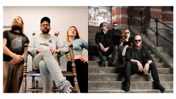 Odd Bird Society + Ntligen