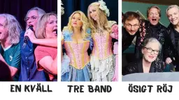 Syster Sören, Fröken Signe & Vocal Brand