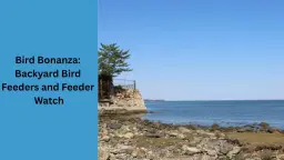 Bird Bonanza: Backyard Bird Feeders and Feeder Watch