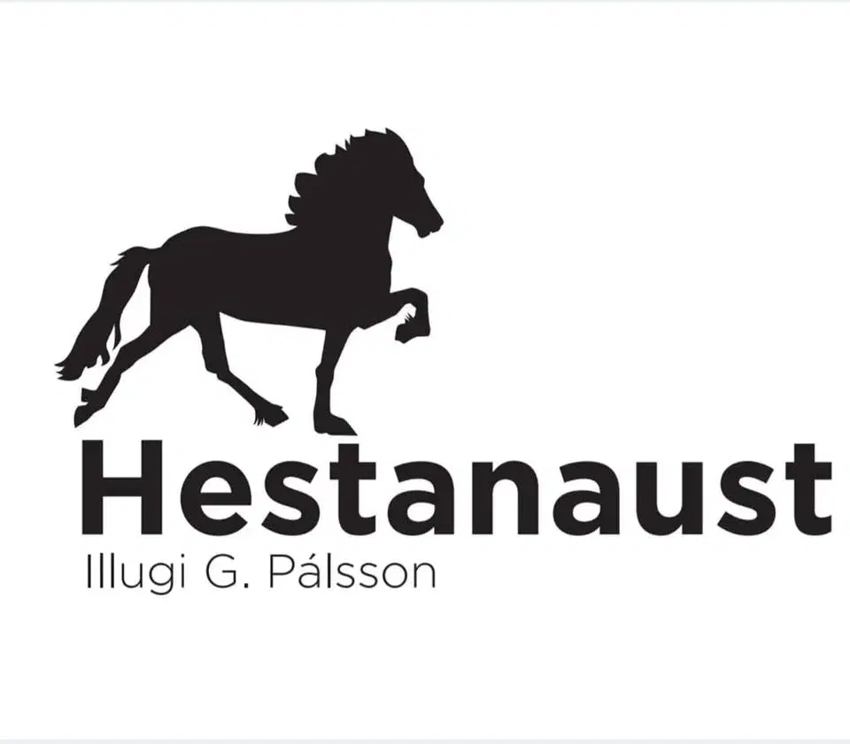 Kurs 19/4 för Illugi Pálsson @Hestanaust