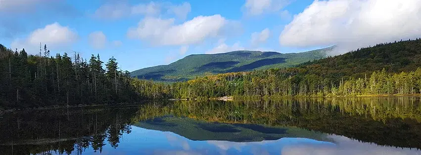 Owl Prowl Full Moon Hike đŠ