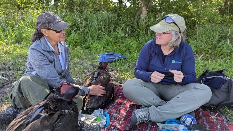 Chapter Meeting and Program