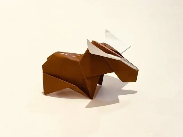 Origami Workshop
