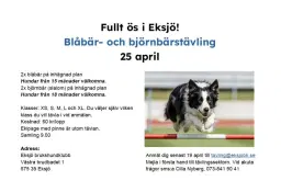 BlÄbÀr och björnbÀrstÀvling i Eksjö!
