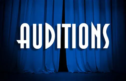 Auditions "Pack Of Lies" by Hugh Whitemore
