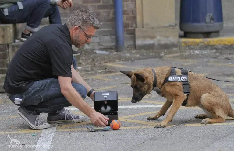 Scent Detection With Simon Prins