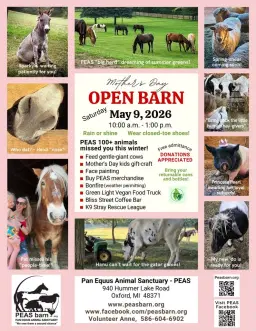 🌸Mothers Day Open Barn Event (SATURDAY ONLY)